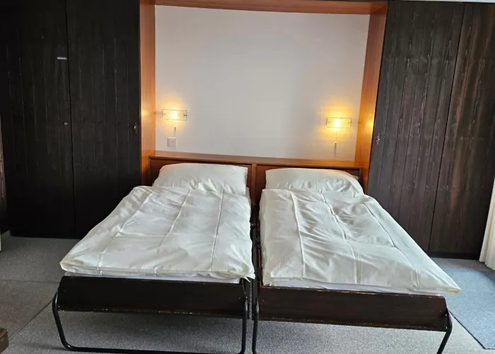 Aparthotel Chesa Clois 24 3*