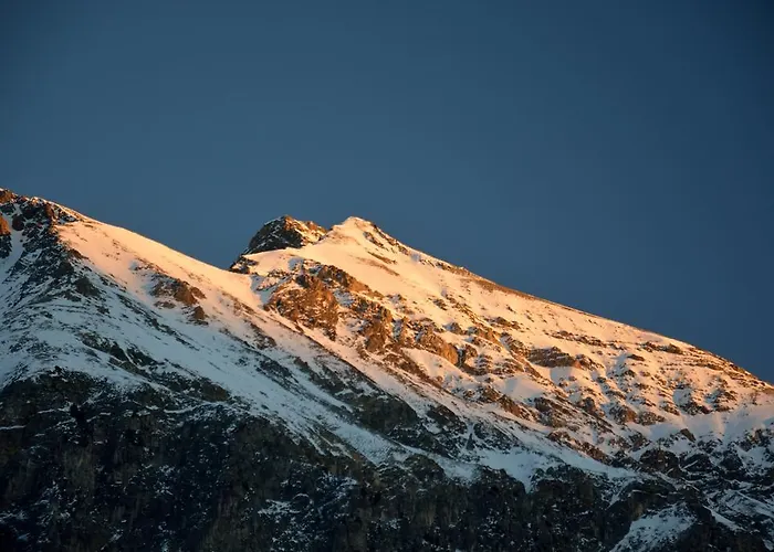 Chesa Clois 24 Apart Otel 3*